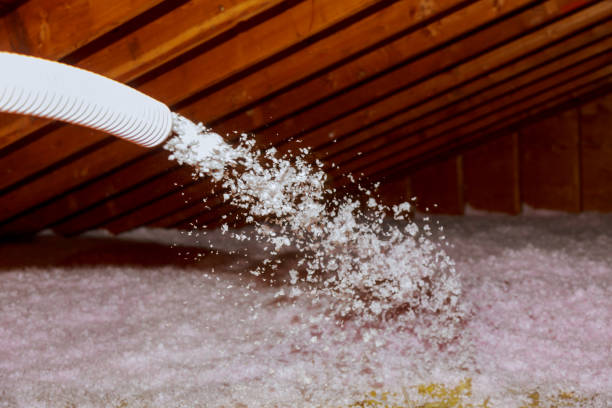 Best Home Insulation Services  in South Henderson, NC