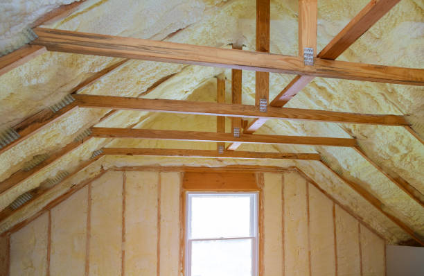 Best Spray Foam Insulation  in South Henderson, NC