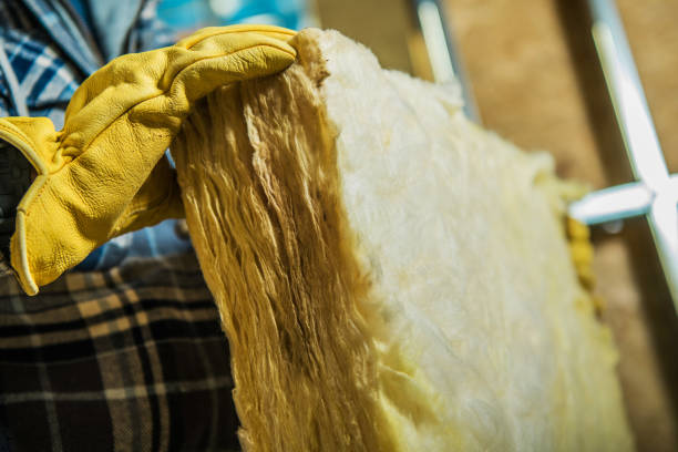 Best Insulation Replacement Services  in South Henderson, NC