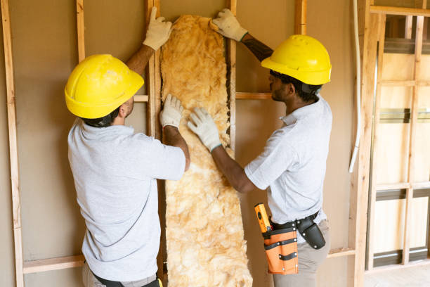 Best Attic Insulation Installation  in South Henderson, NC